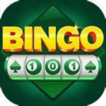 BINGO101