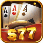 S77 Game